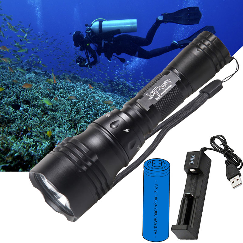 Fish Finder Charger - Tauchlampe Tragbar 10W T6 L2 LED